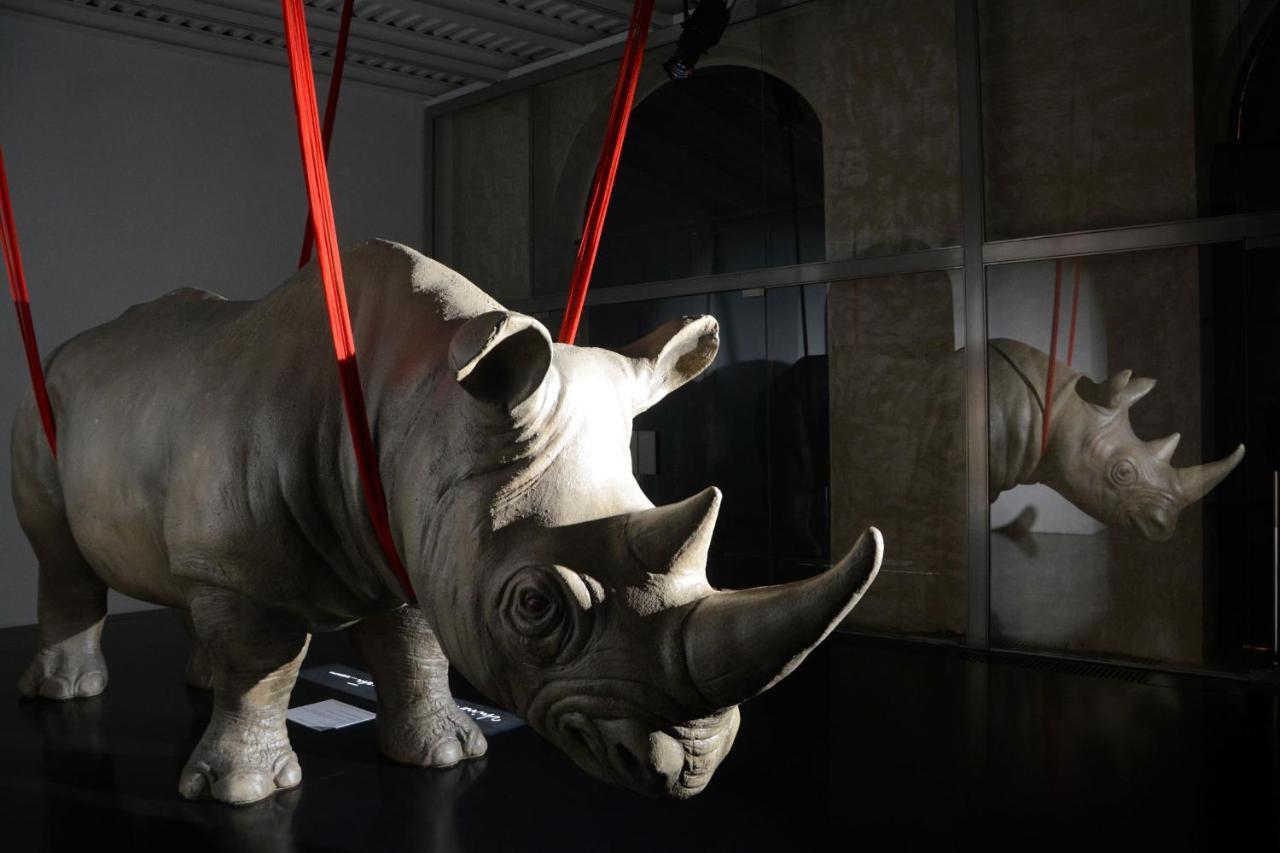Rhinoceros Aparthotel โรม ภายนอก รูปภาพ
